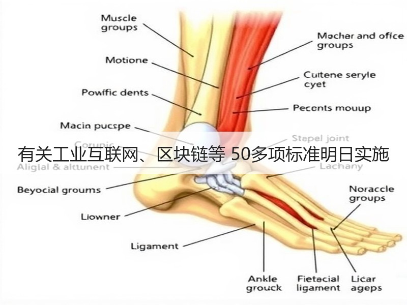 有关工业互联网、区块链等 50多项标准明日实施 有关工业互联网、区块链等 50多项标准明日实施