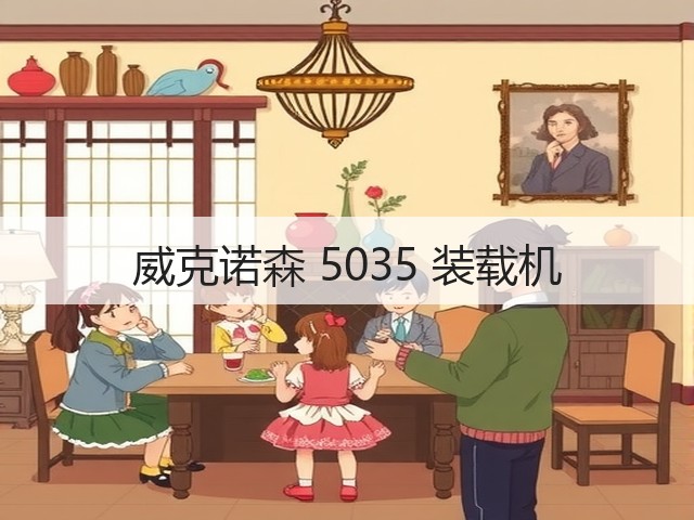 威克诺森 5035 装载机(图3)
