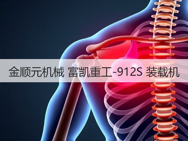 金顺元机械 富凯重工-912S 装载机(图3)
