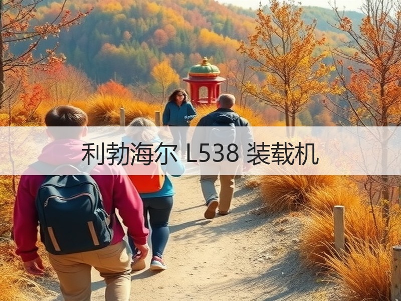 利勃海尔 L538 装载机