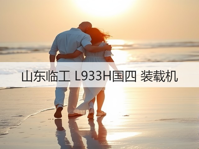 山东临工 L933H国四 装载机(图3)