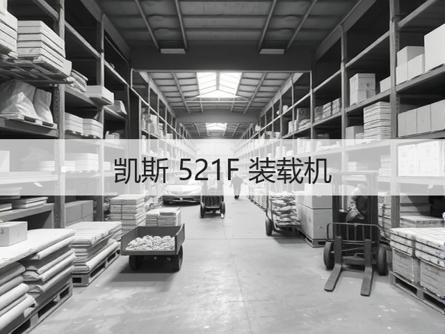 凯斯 521F 装载机(图3)