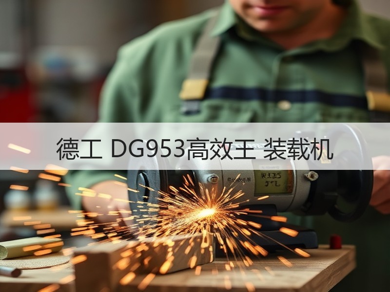 德工 DG953高效王 装载机