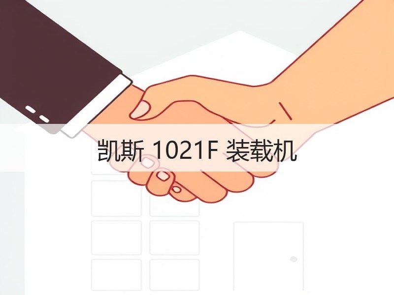 凯斯 1021F 装载机