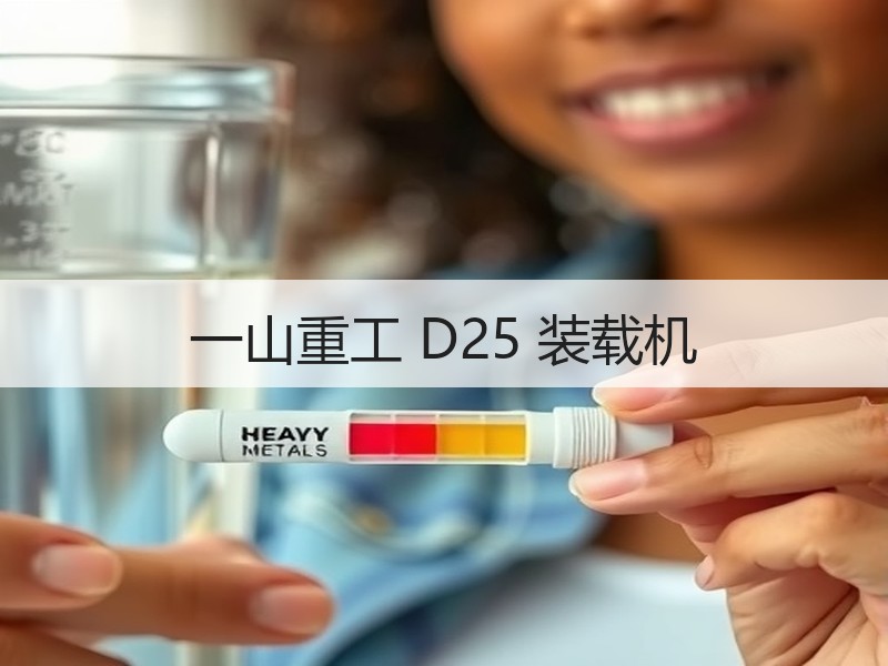 一山重工 D25 装载机