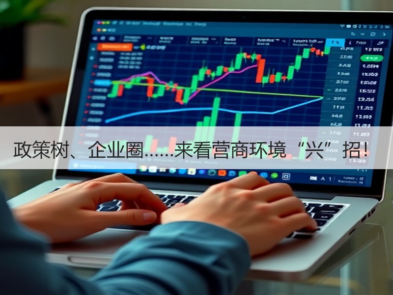 政策树、企业圈……来看营商环境“兴”招！
