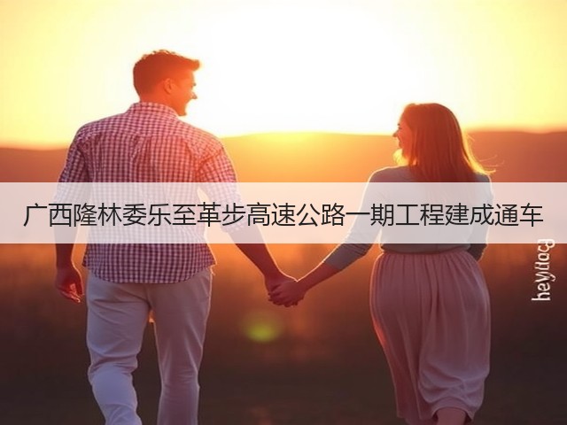 广西隆林委乐至革步高速公路一期工程建成通车(图3) 广西隆林委乐至革步高速公路一期工程建成通车(图3)