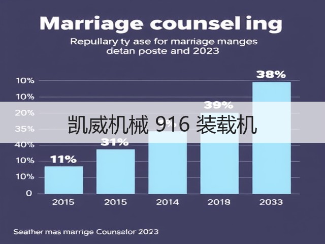 凯威机械 916 装载机(图2)
