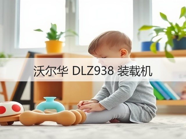 沃尔华 DLZ938 装载机(图1) 沃尔华 DLZ938 装载机(图1)