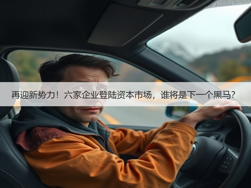 再迎新势力！六家企业登陆资本市场，谁将是下一个黑马？