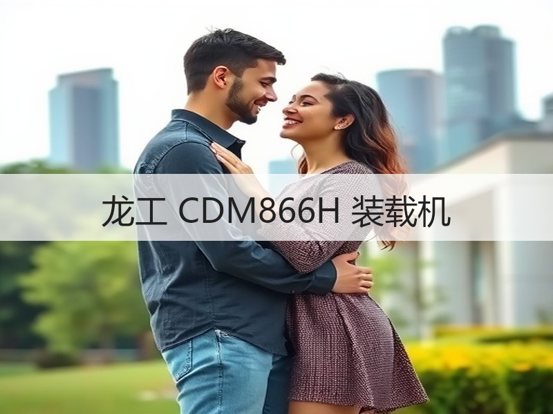 龙工 CDM866H 装载机 龙工 CDM866H 装载机