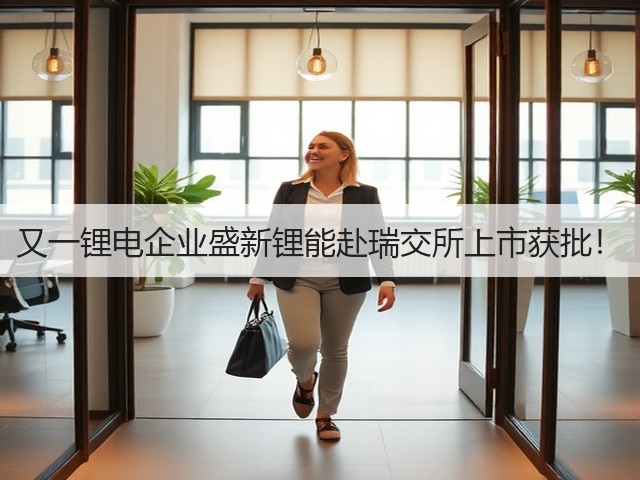 又一锂电企业盛新锂能赴瑞交所上市获批!(图3) 又一锂电企业盛新锂能赴瑞交所上市获批!(图3)