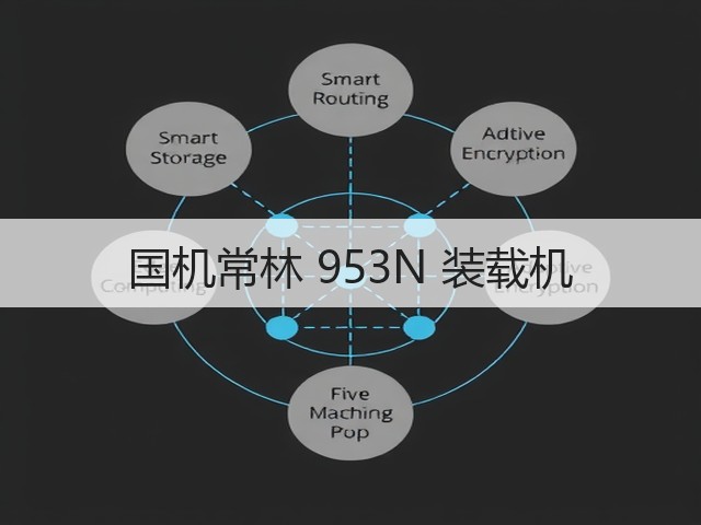 国机常林 953N 装载机(图1)