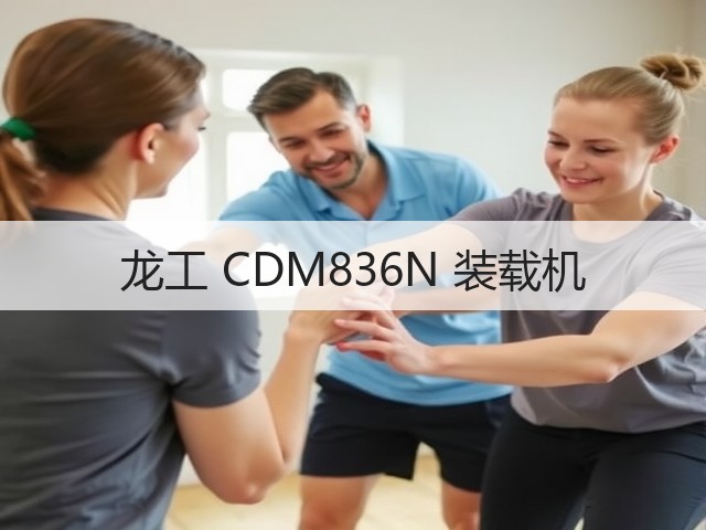龙工 CDM836N 装载机(图3)