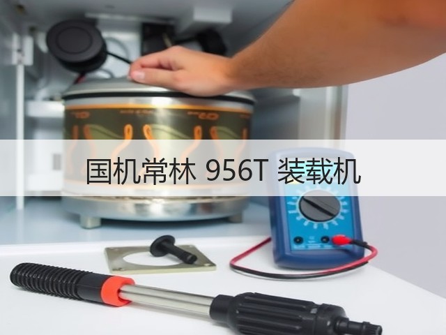 国机常林 956T 装载机(图2)