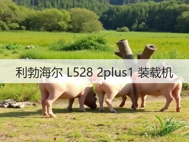 利勃海尔 L528 2plus1 装载机(图2) 利勃海尔 L528 2plus1 装载机(图2)