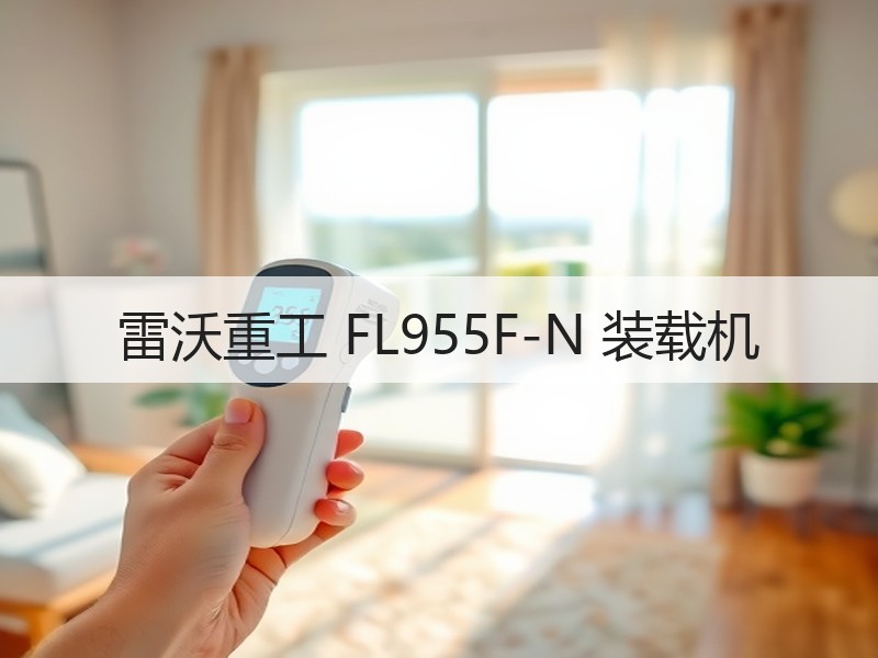 雷沃重工 FL955F-N 装载机