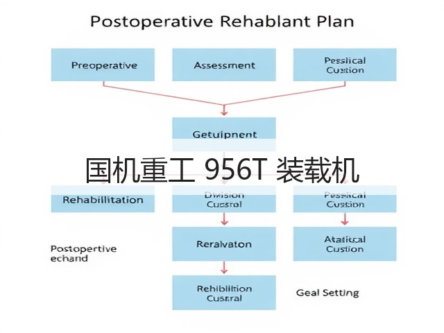 国机重工 956T 装载机(图3) 国机重工 956T 装载机(图3)