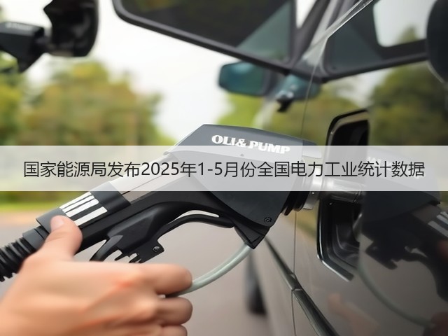 国家能源局发布2025年1-5月份全国电力工业统计数据(图2)