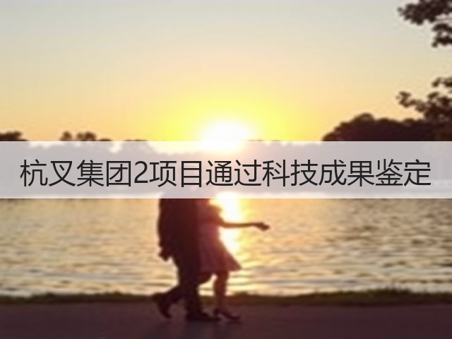 杭叉集团2项目通过科技成果鉴定(图1) 杭叉集团2项目通过科技成果鉴定(图1)