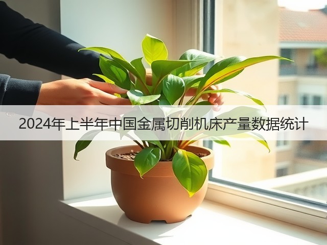 2024年上半年中国金属切削机床产量数据统计(图1) 2024年上半年中国金属切削机床产量数据统计(图1)