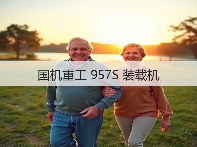 国机重工 957S 装载机(图2) 国机重工 957S 装载机(图2)