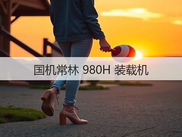 国机常林 980H 装载机(图2) 国机常林 980H 装载机(图2)