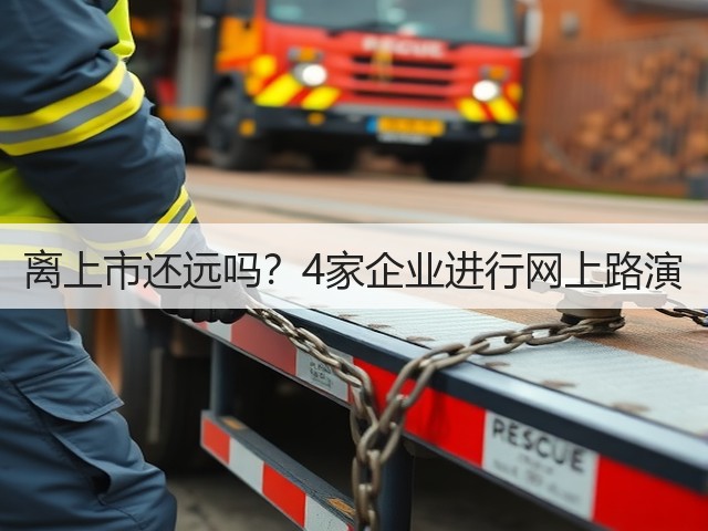 离上市还远吗?4家企业进行网上路演(图2) 离上市还远吗?4家企业进行网上路演(图2)