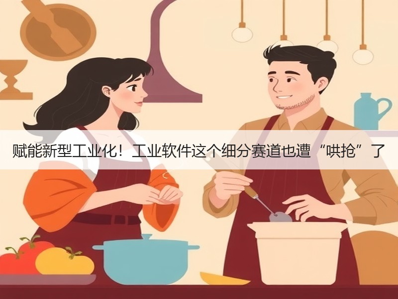 赋能新型工业化！工业软件这个细分赛道也遭“哄抢”了