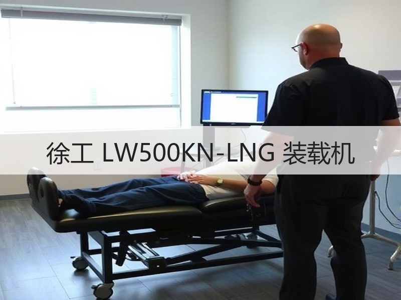 徐工 LW500KN-LNG 装载机