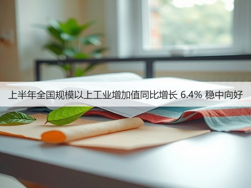上半年全国规模以上工业增加值同比增长 6.4% 稳中向好 上半年全国规模以上工业增加值同比增长 6.4% 稳中向好