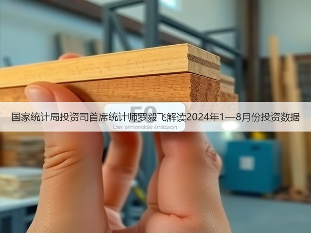 国家统计局投资司首席统计师罗毅飞解读2024年1—8月份投资数据(图1) 国家统计局投资司首席统计师罗毅飞解读2024年1—8月份投资数据(图1)