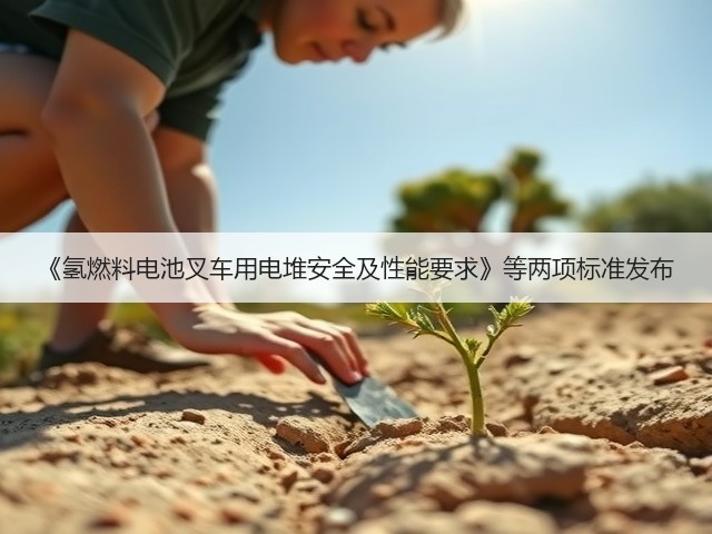 《氢燃料电池叉车用电堆安全及性能要求》等两项标准发布(图3)