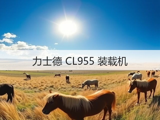 力士德 CL955 装载机(图2) 力士德 CL955 装载机(图2)