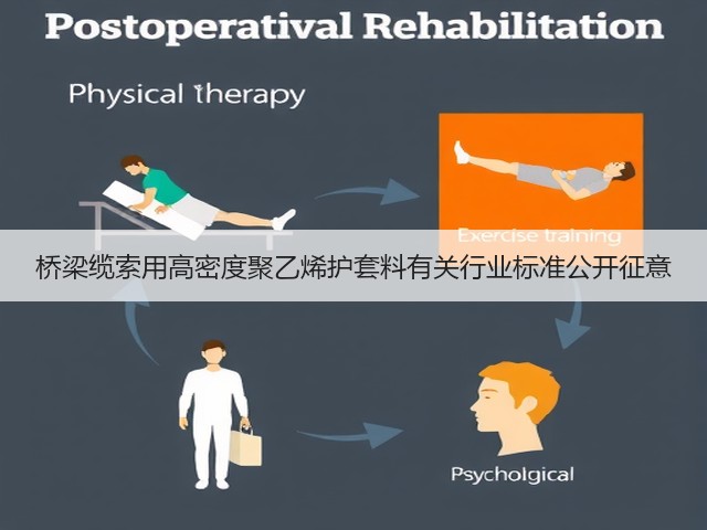 桥梁缆索用高密度聚乙烯护套料有关行业标准公开征意(图1) 桥梁缆索用高密度聚乙烯护套料有关行业标准公开征意(图1)