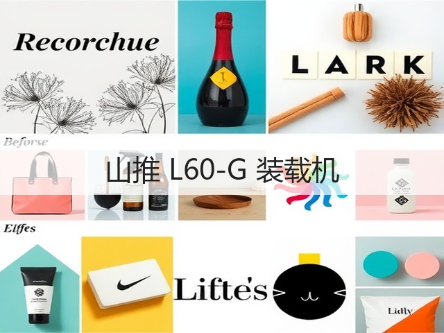 山推 L60-G 装载机(图3)