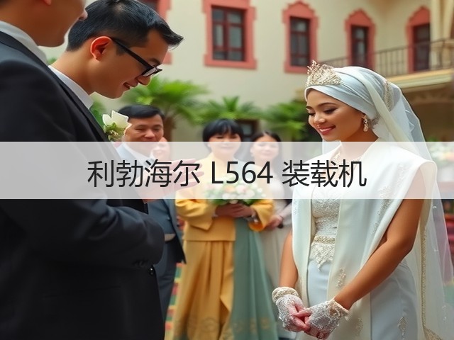 利勃海尔 L564 装载机(图2)