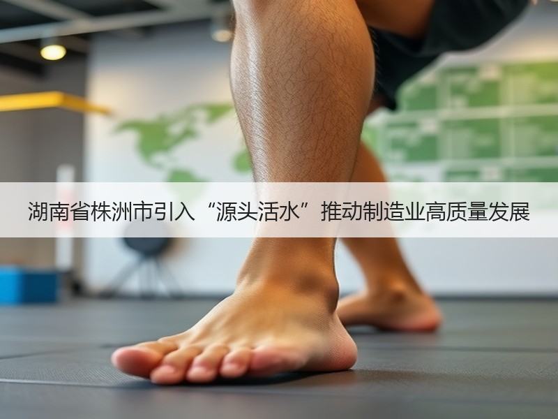 湖南省株洲市引入“源头活水”推动制造业高质量发展