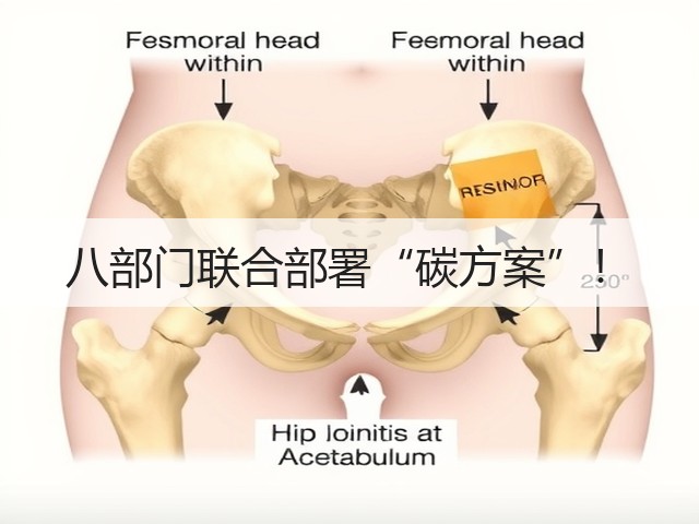 八部门联合部署“碳方案”!(图3) 八部门联合部署“碳方案”!(图3)