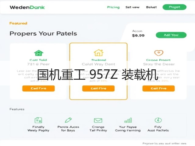 国机重工 957Z 装载机(图2)