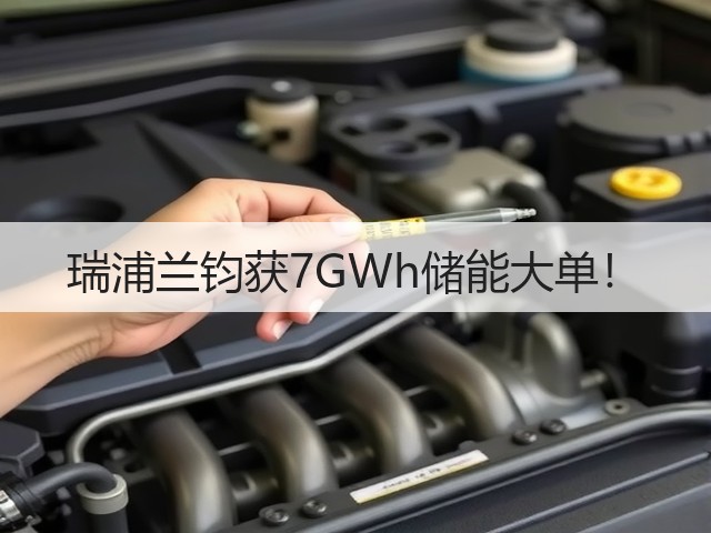 瑞浦兰钧获7GWh储能大单!(图2) 瑞浦兰钧获7GWh储能大单!(图2)