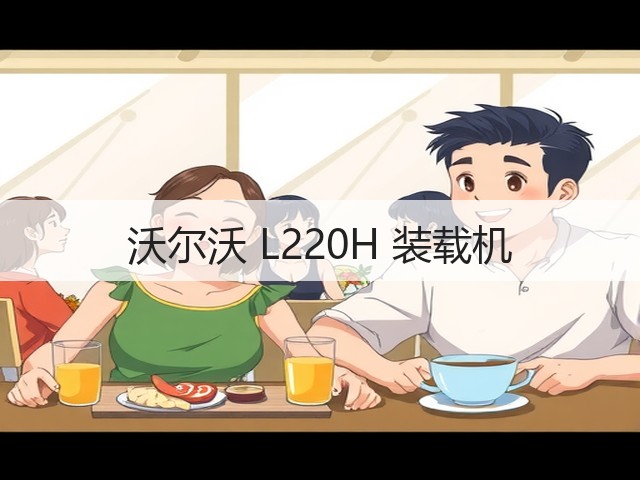 沃尔沃 L220H 装载机(图3)