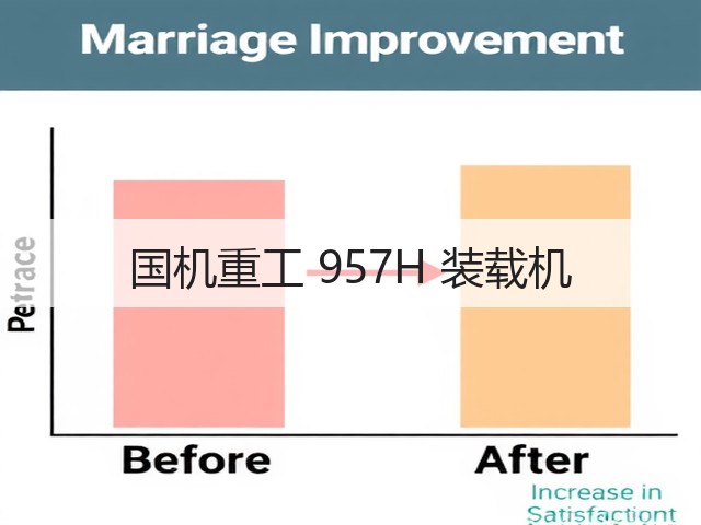 国机重工 957H 装载机(图3)