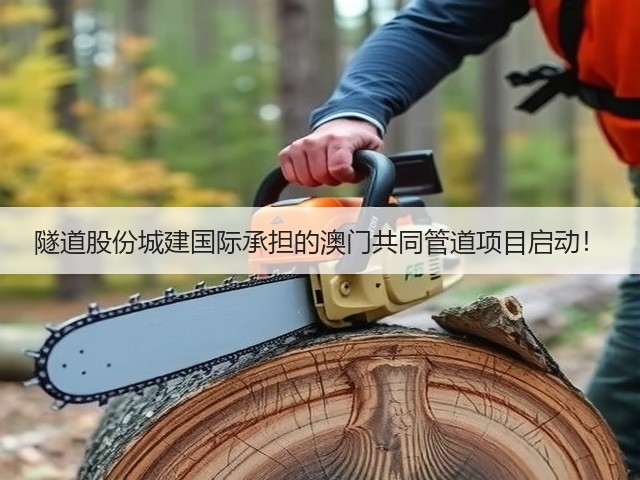 隧道股份城建国际承担的澳门共同管道项目启动！(图3)