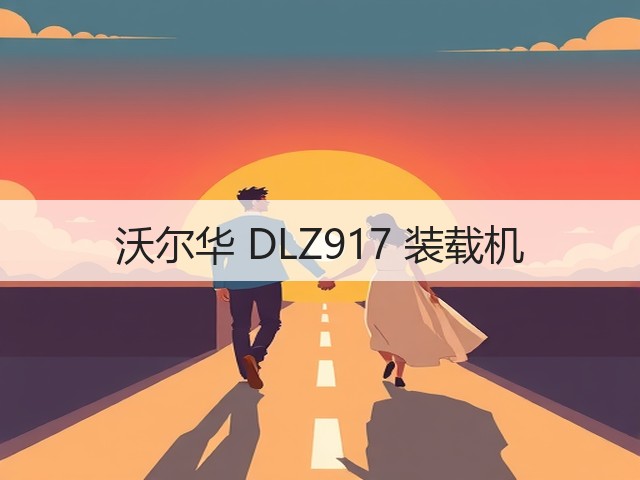 沃尔华 DLZ917 装载机(图1)