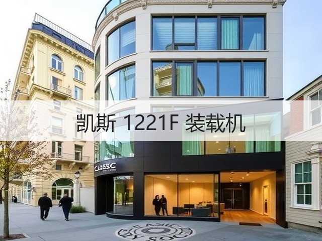 凯斯 1221F 装载机(图1)