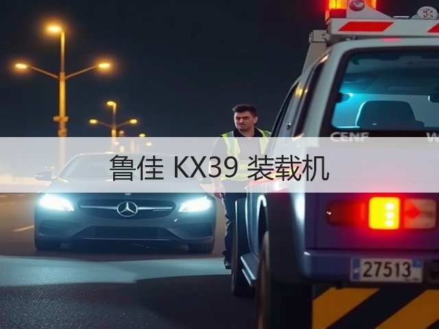 鲁佳 KX39 装载机(图3)