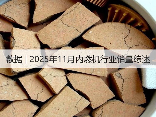 数据 | 2025年11月内燃机行业销量综述(图3) 数据 | 2025年11月内燃机行业销量综述(图3)
