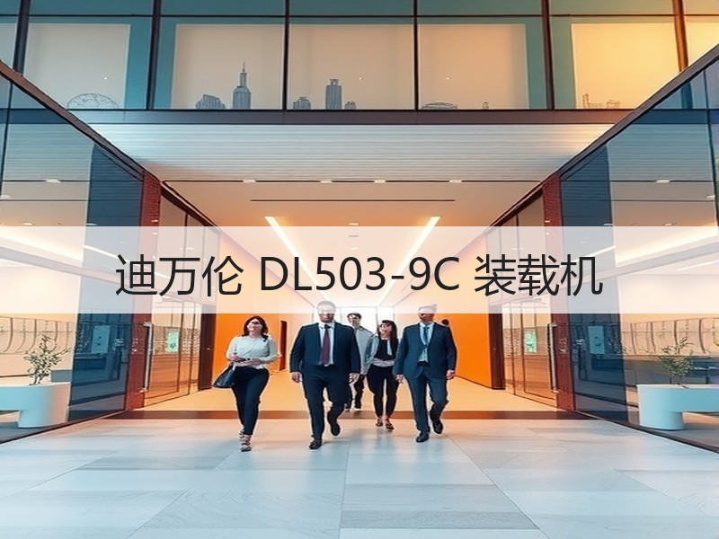 迪万伦 DL503-9C 装载机 迪万伦 DL503-9C 装载机