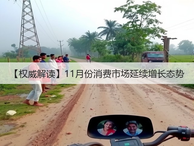 【权威解读】11月份消费市场延续增长态势(图3) 【权威解读】11月份消费市场延续增长态势(图3)